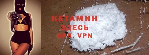 шишки Абаза