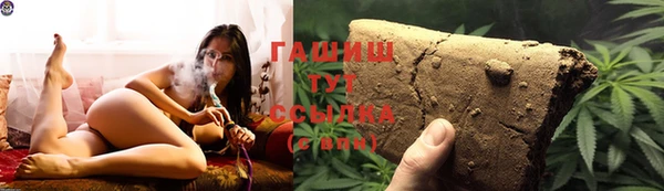 шишки Абаза