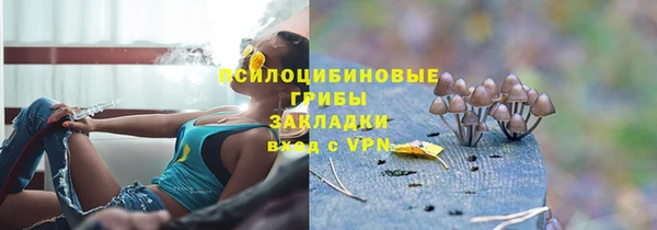 шишки Абаза